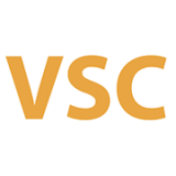 차량자세제어시스템(Vehicle Stability Control) 표시등 (노란색)